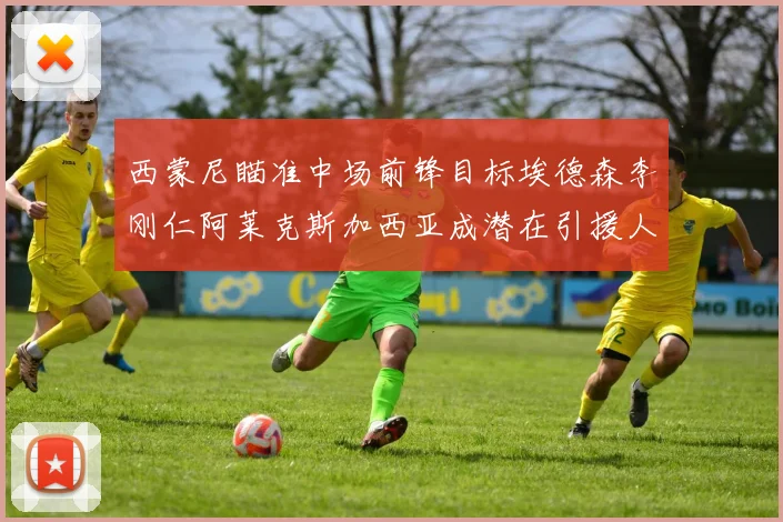 西蒙尼瞄准中场前锋目标埃德森李刚仁阿莱克斯加西亚成潜在引援人选